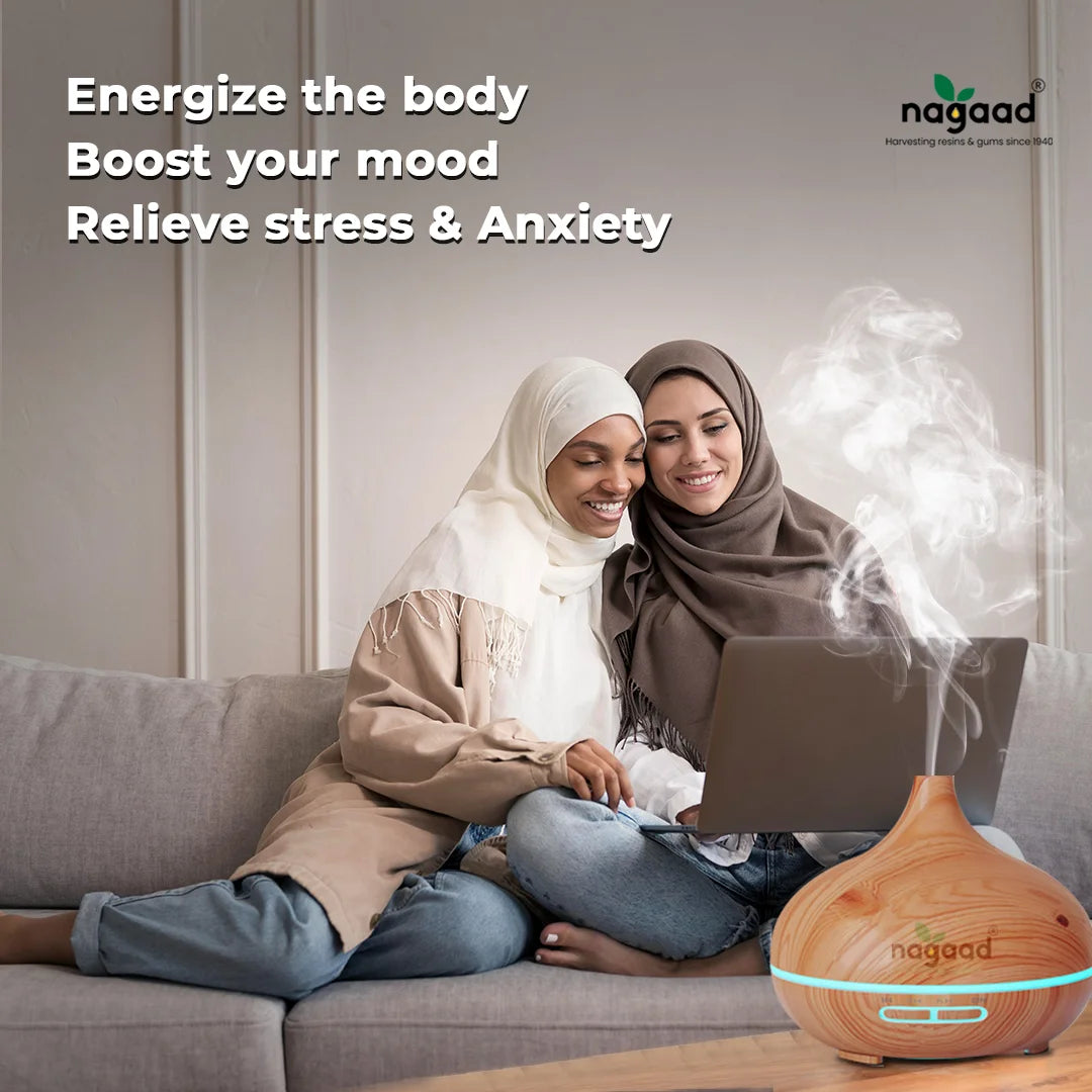 A single monstera leaf in a clear glass vase against a white background.