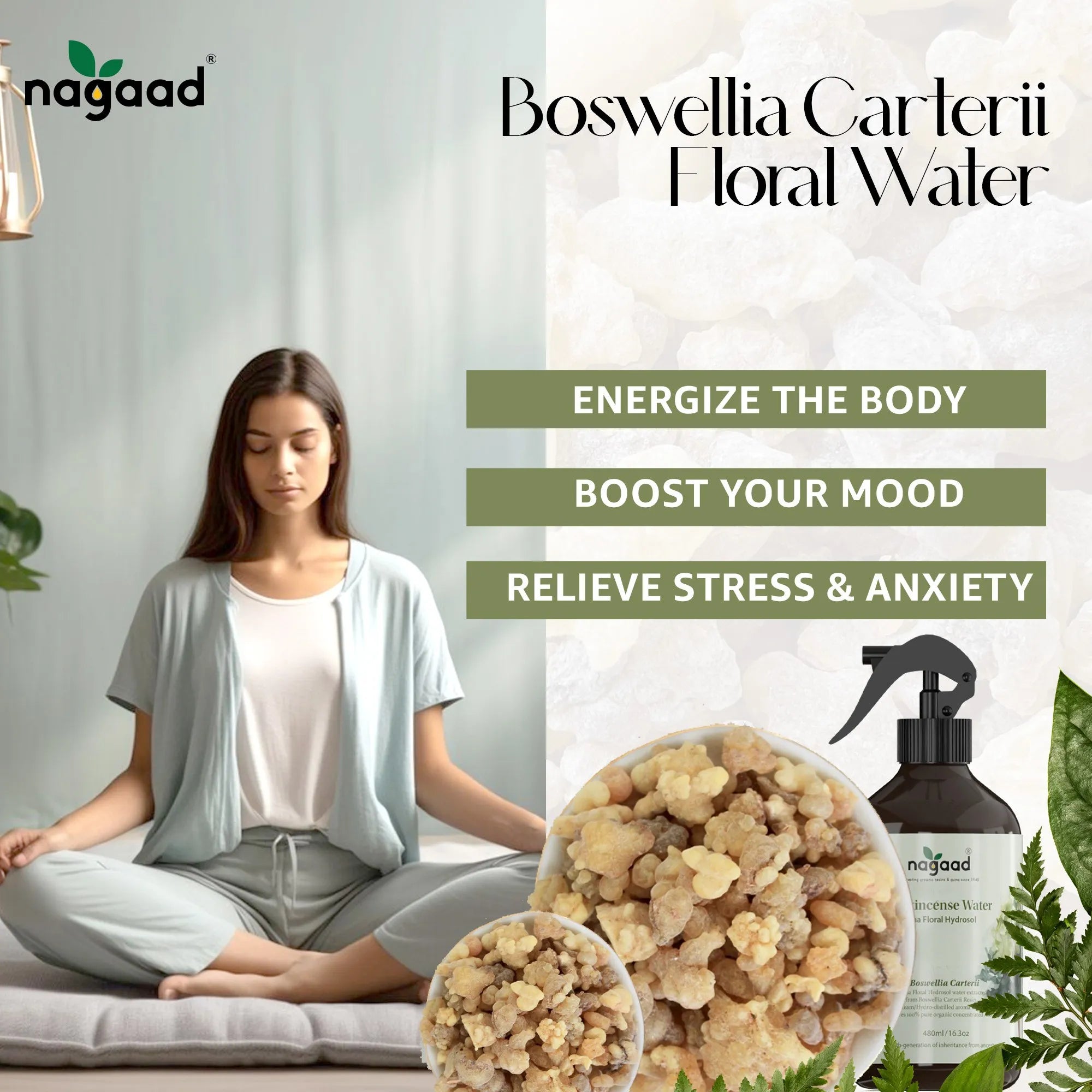 Smartphone with content on screen beside a potted plant against a white background with sunlight shadows.