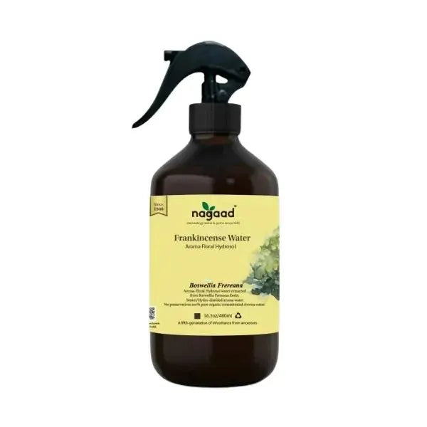 A single green leaf against a white background.