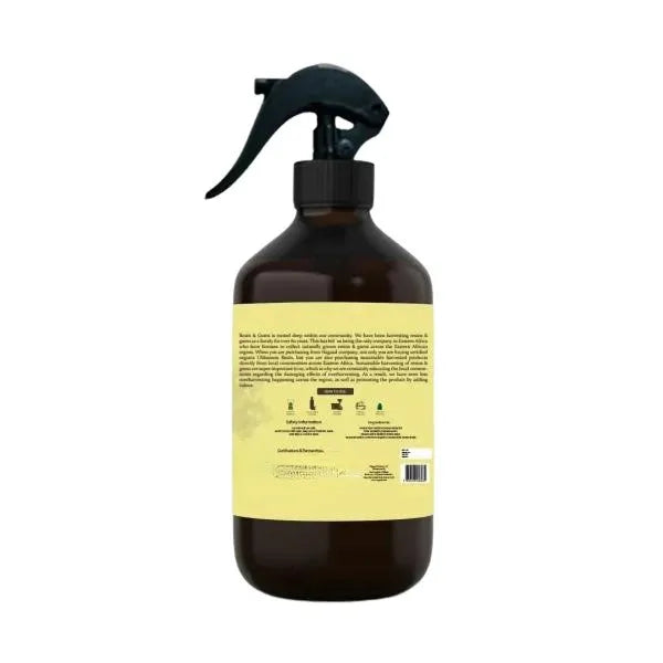 A single palm leaf in a clear glass of water on a white background.