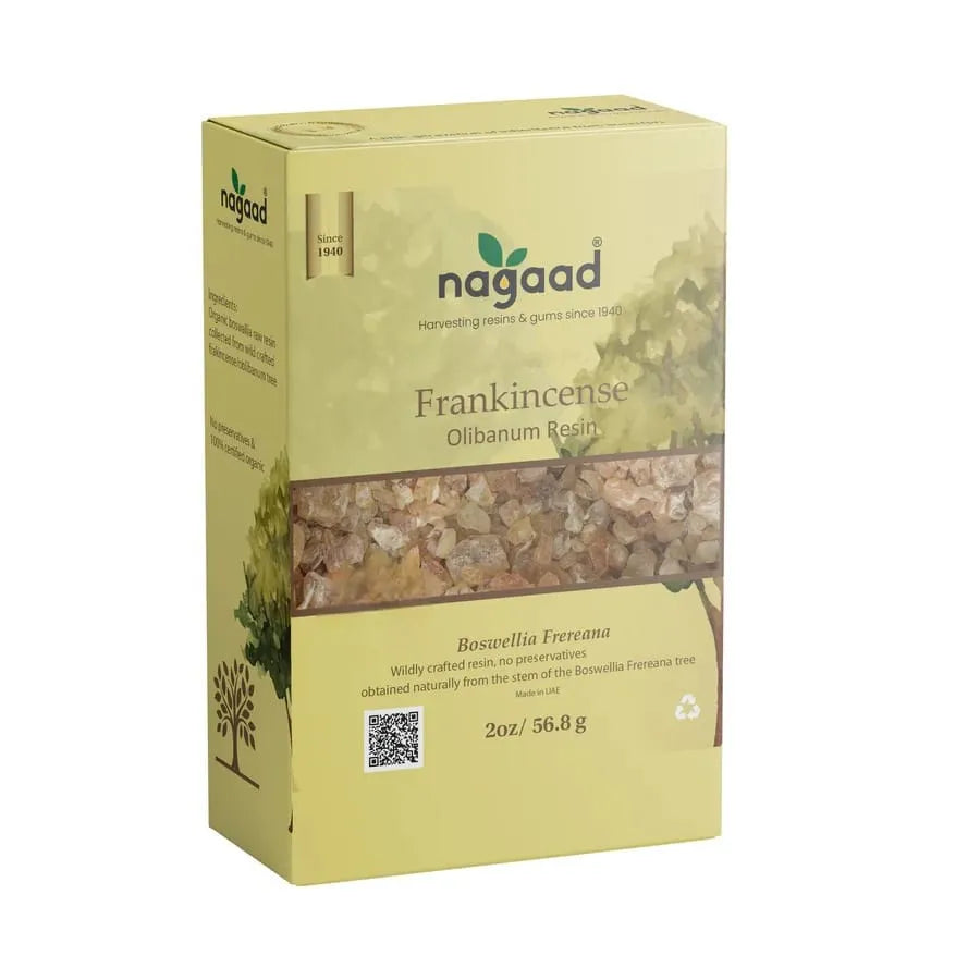 A single green leaf against a white background.