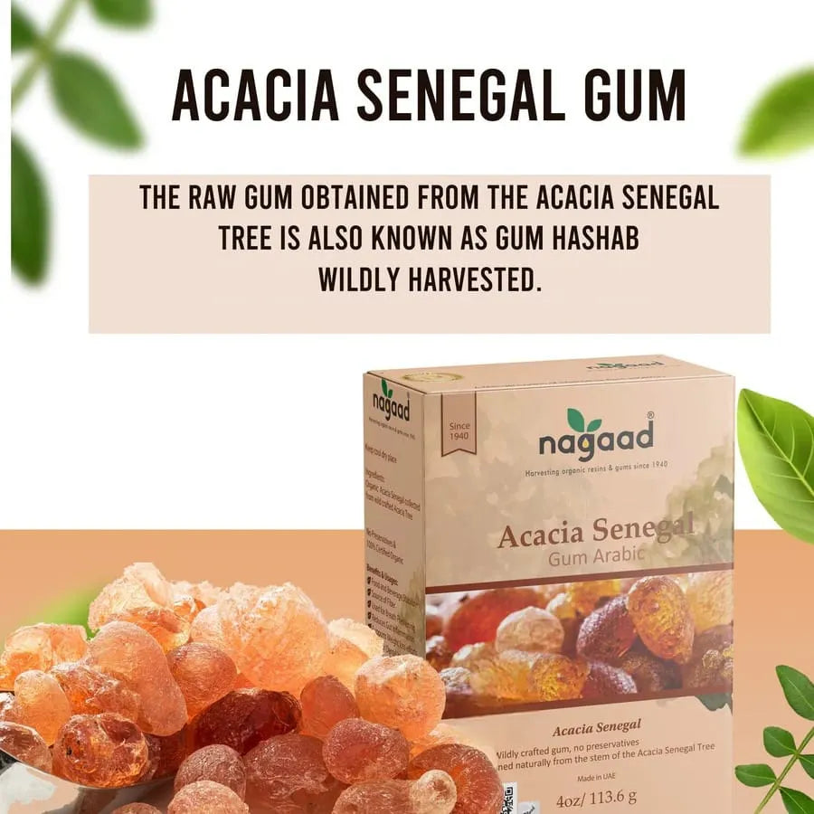 Green palm leaf beside blank white cards on a plain background.