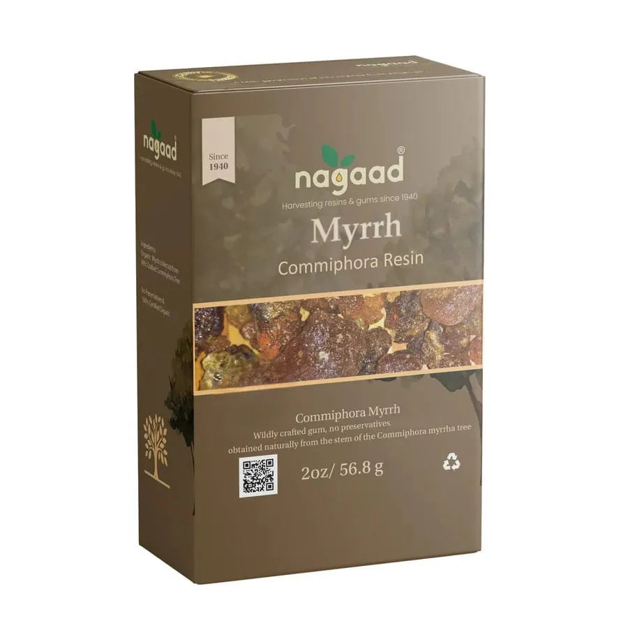 A single green leaf against a white background.