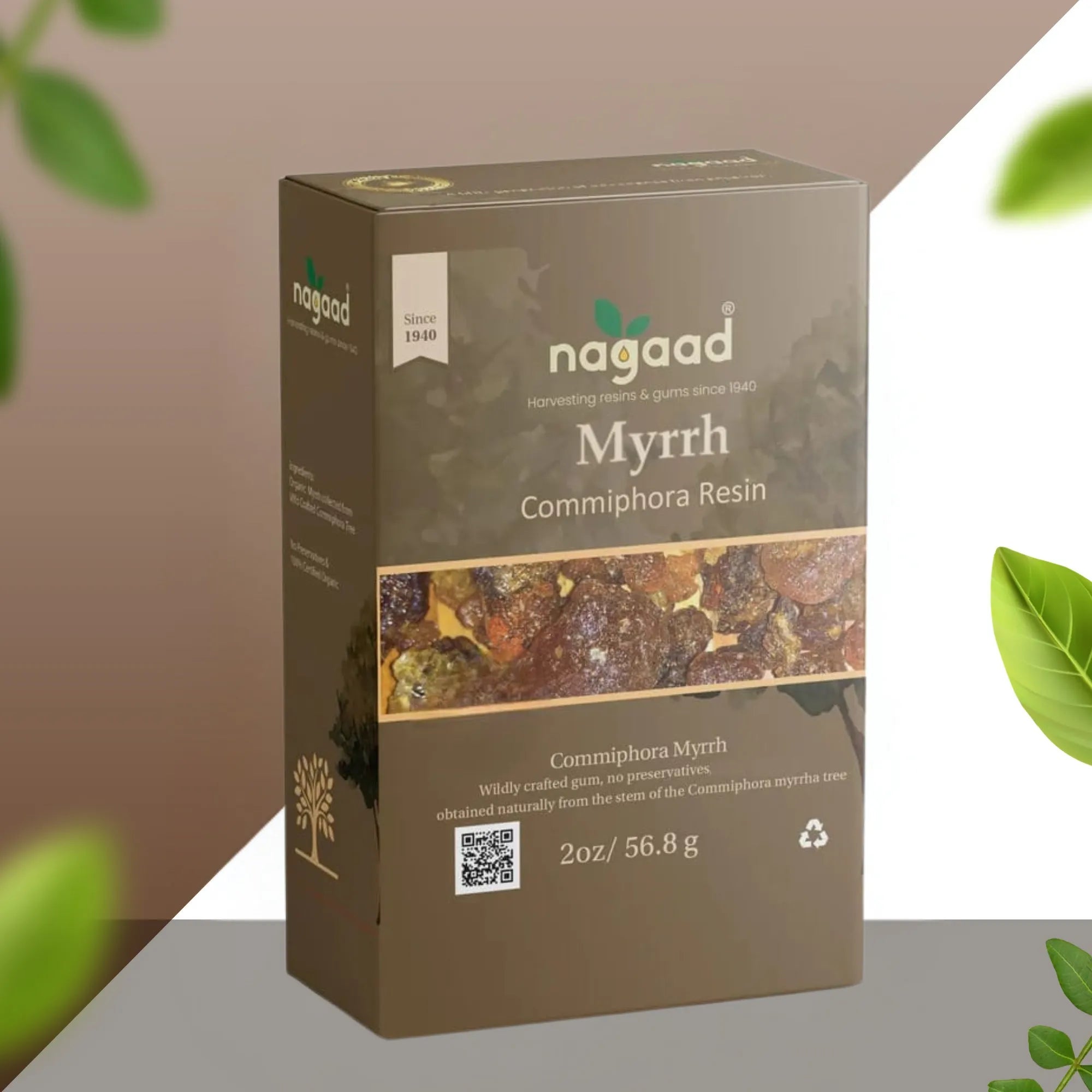 A single palm leaf in a clear glass of water on a white background.