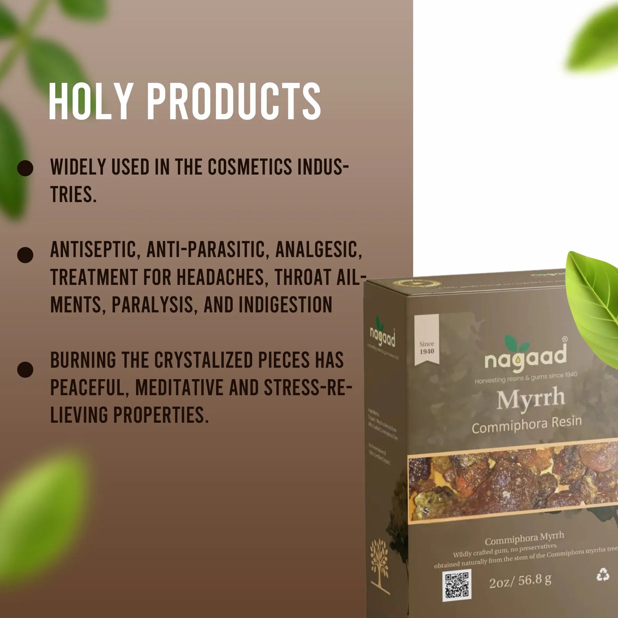 Green palm leaf beside blank white cards on a plain background.