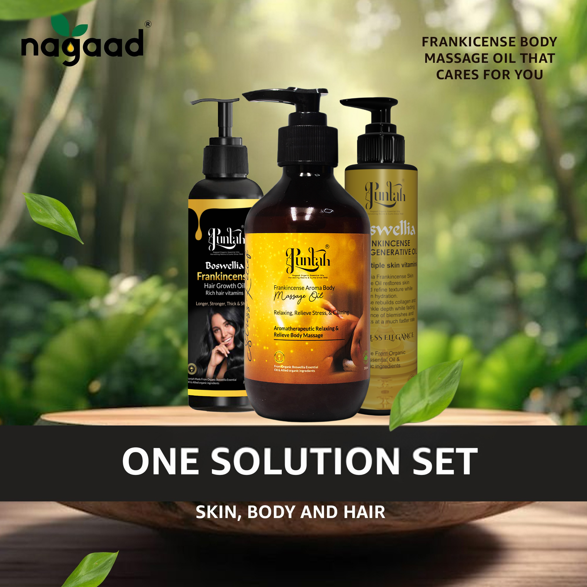 A single palm leaf in a clear glass of water on a white background.