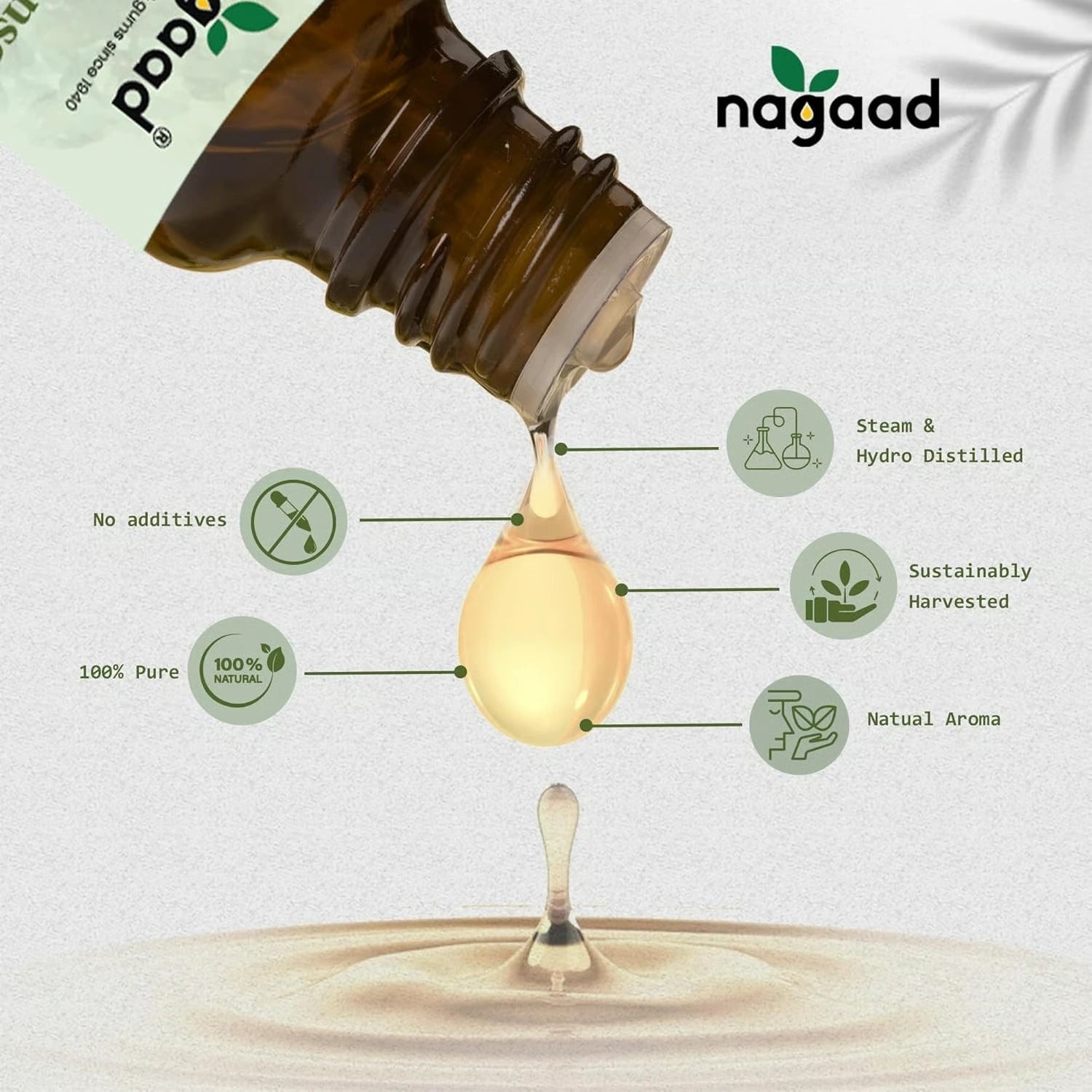 A single palm leaf in a clear glass of water on a white background.