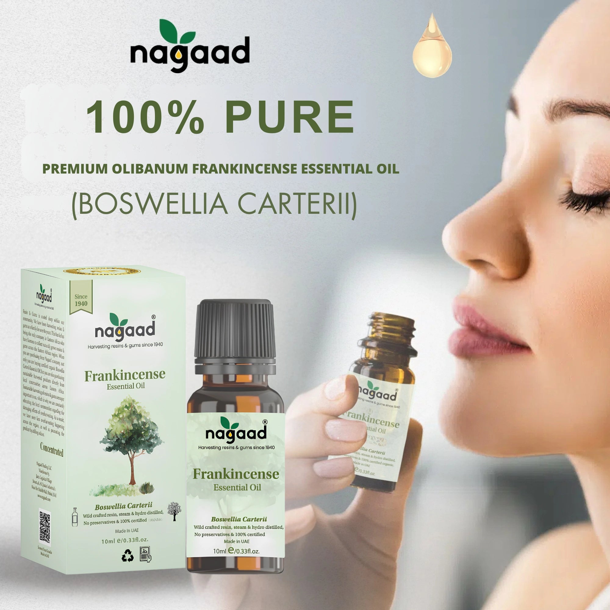 A single monstera leaf in a clear glass vase against a white background.