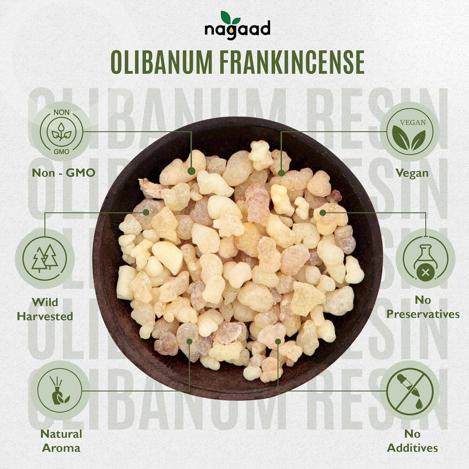 A single palm leaf in a clear glass of water on a white background.