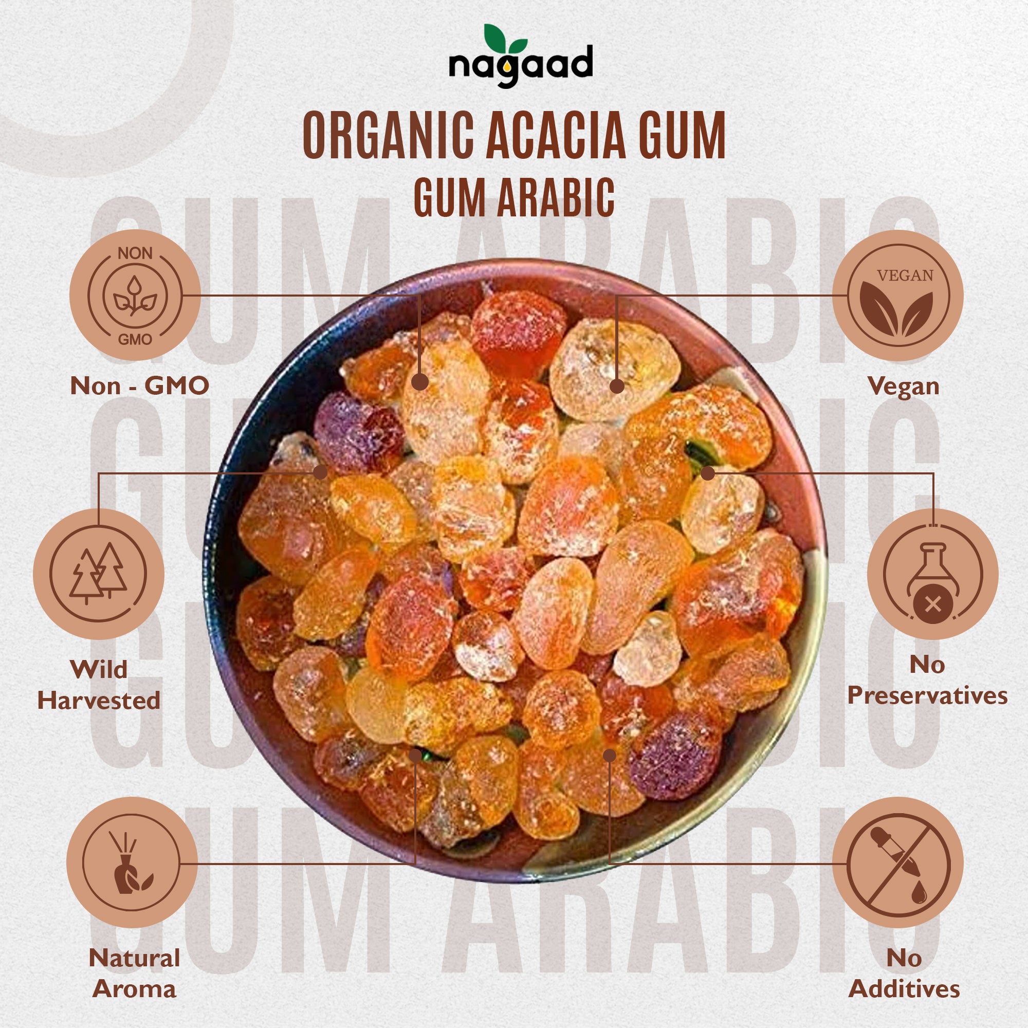 Acacia Senegal - Gum Arabic