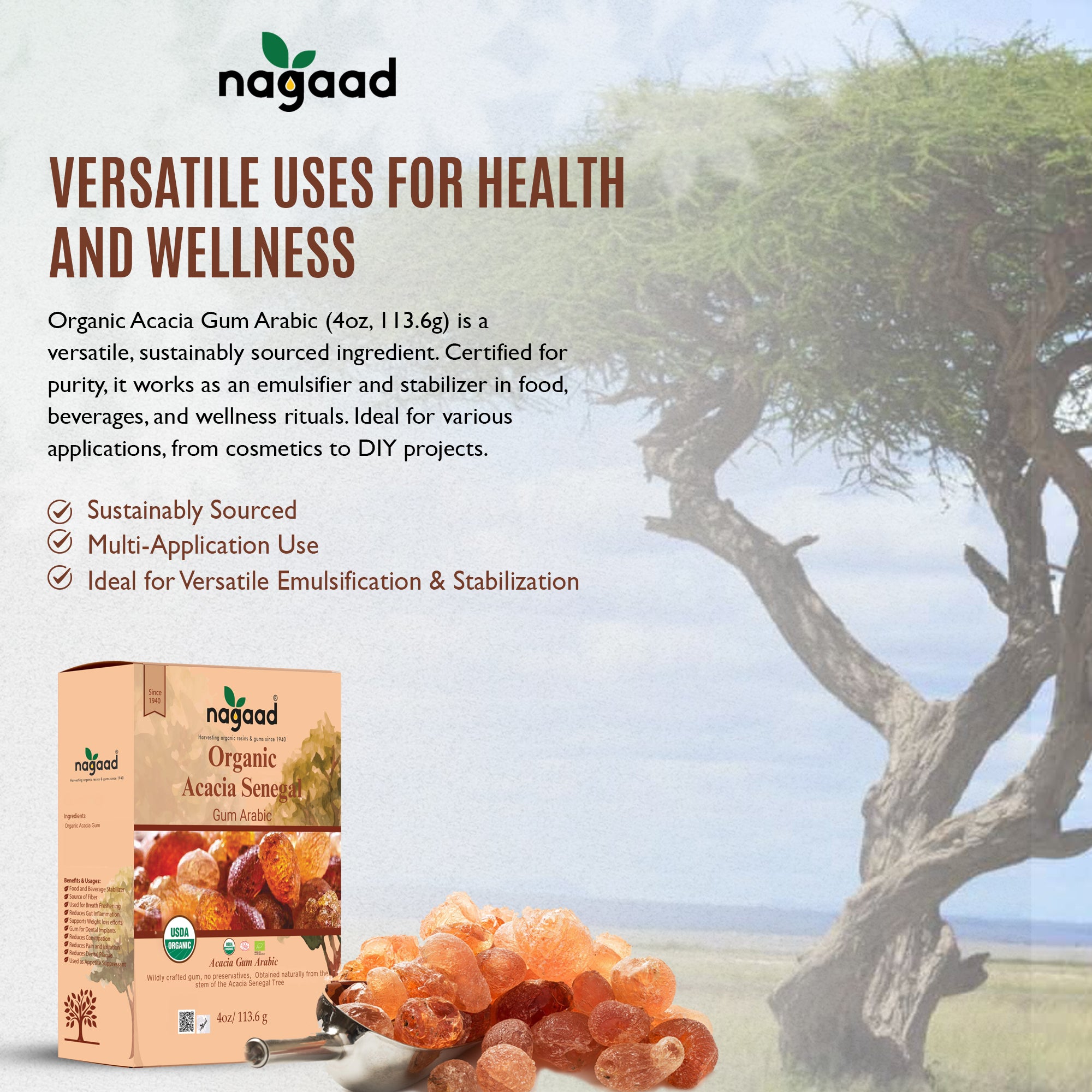 Acacia Senegal - Gum Arabic