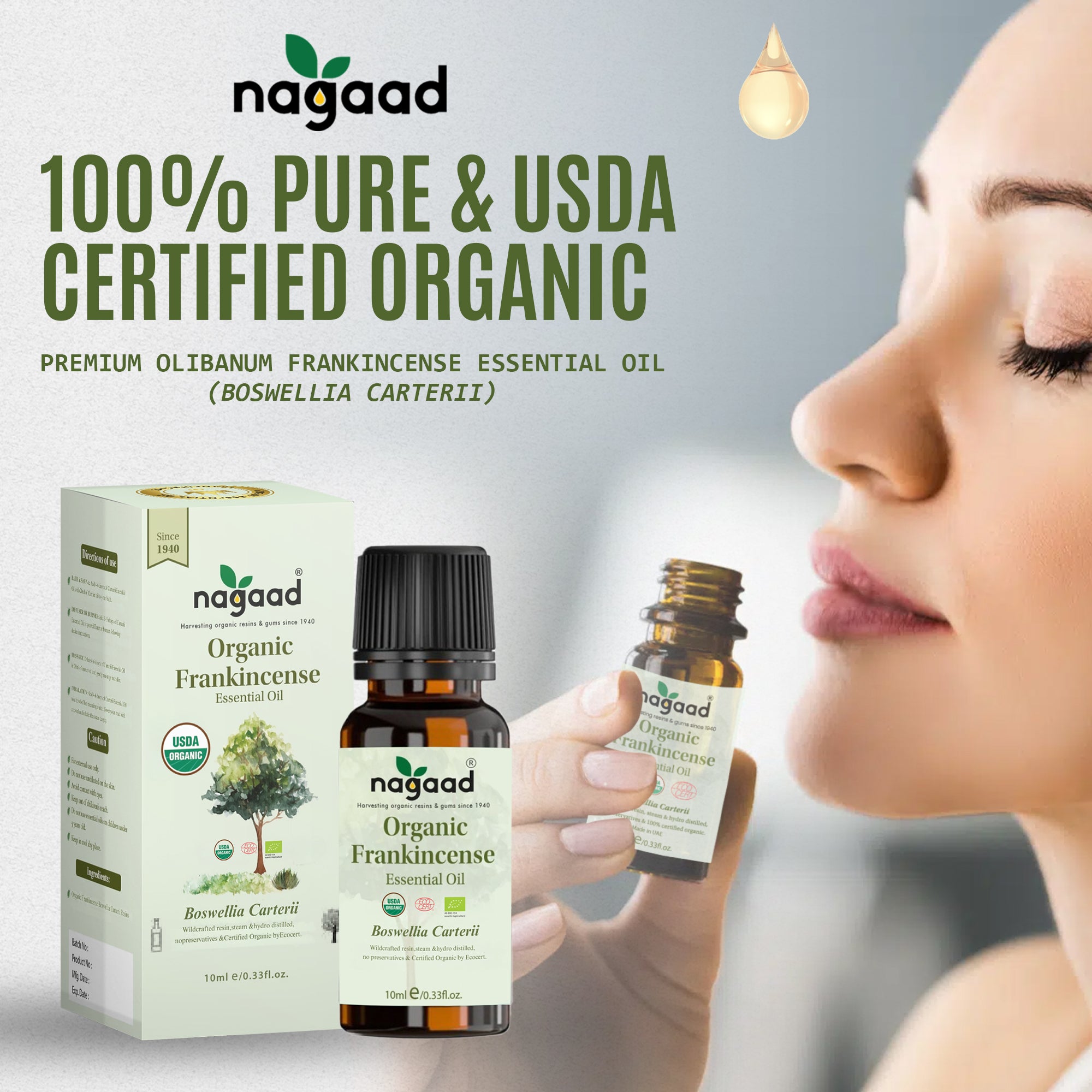 Green palm leaf beside blank white cards on a plain background.