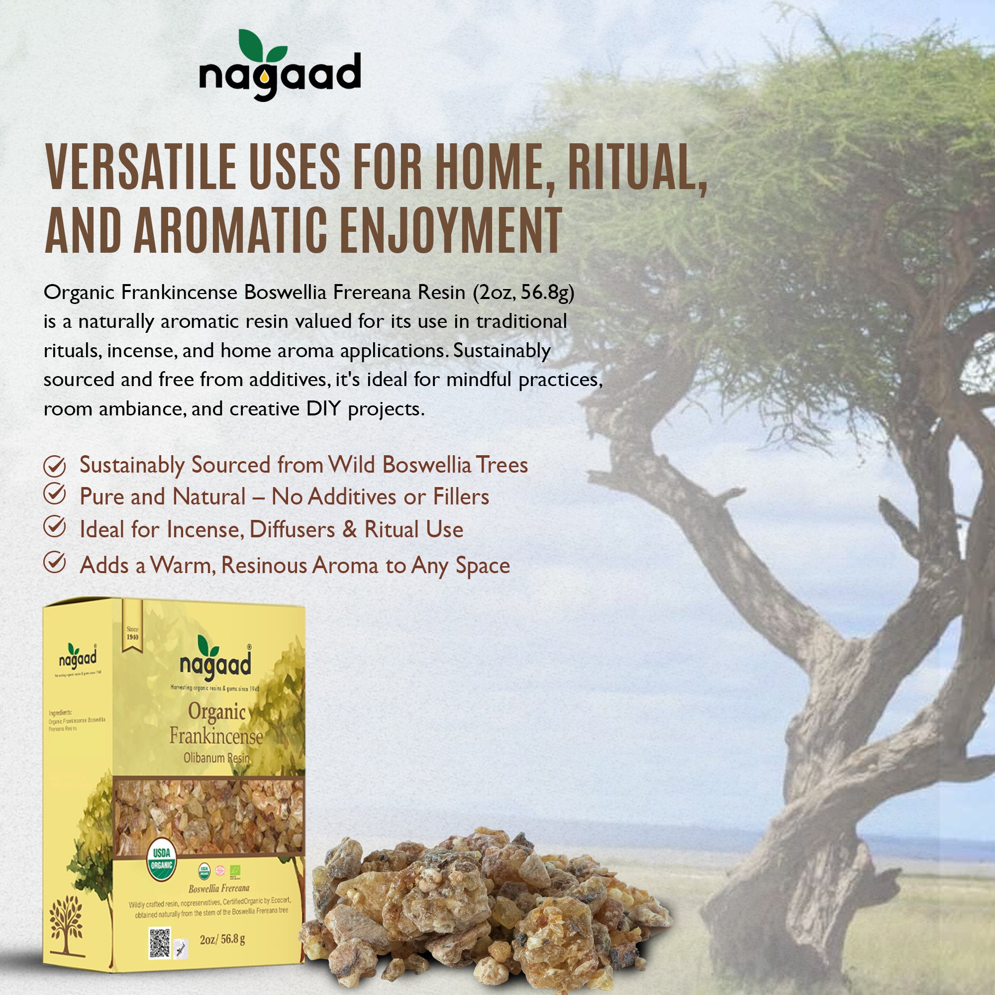Frankincense Boswellia Frereana Resin