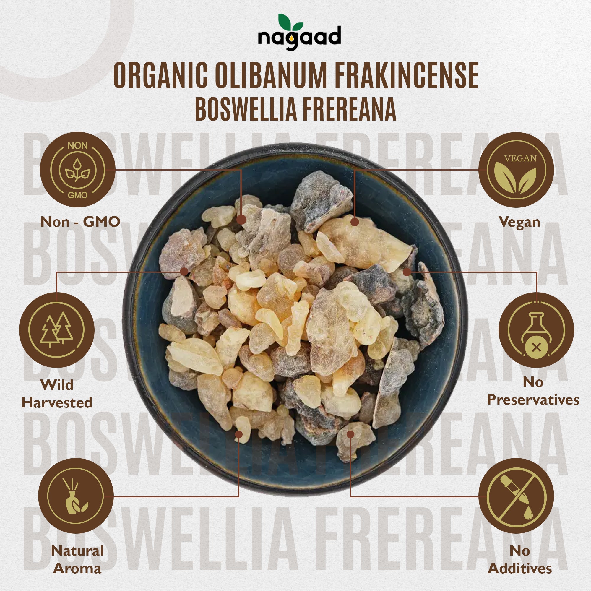 Frankincense Boswellia Frereana Resin