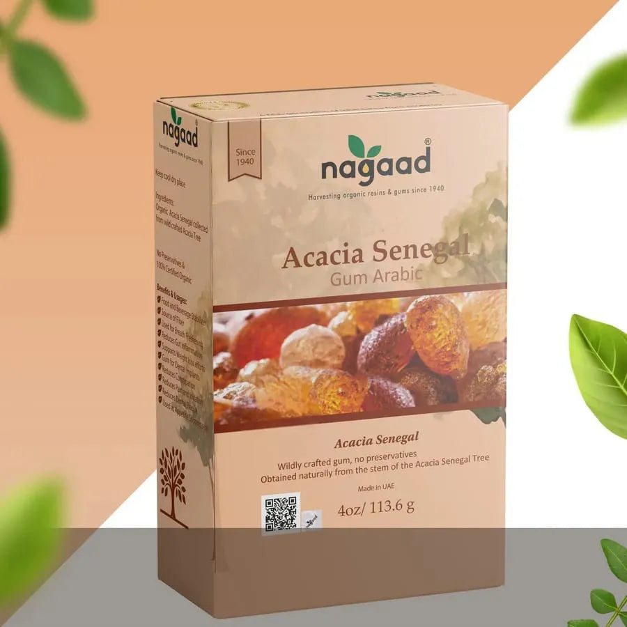 A single palm leaf in a clear glass of water on a white background.