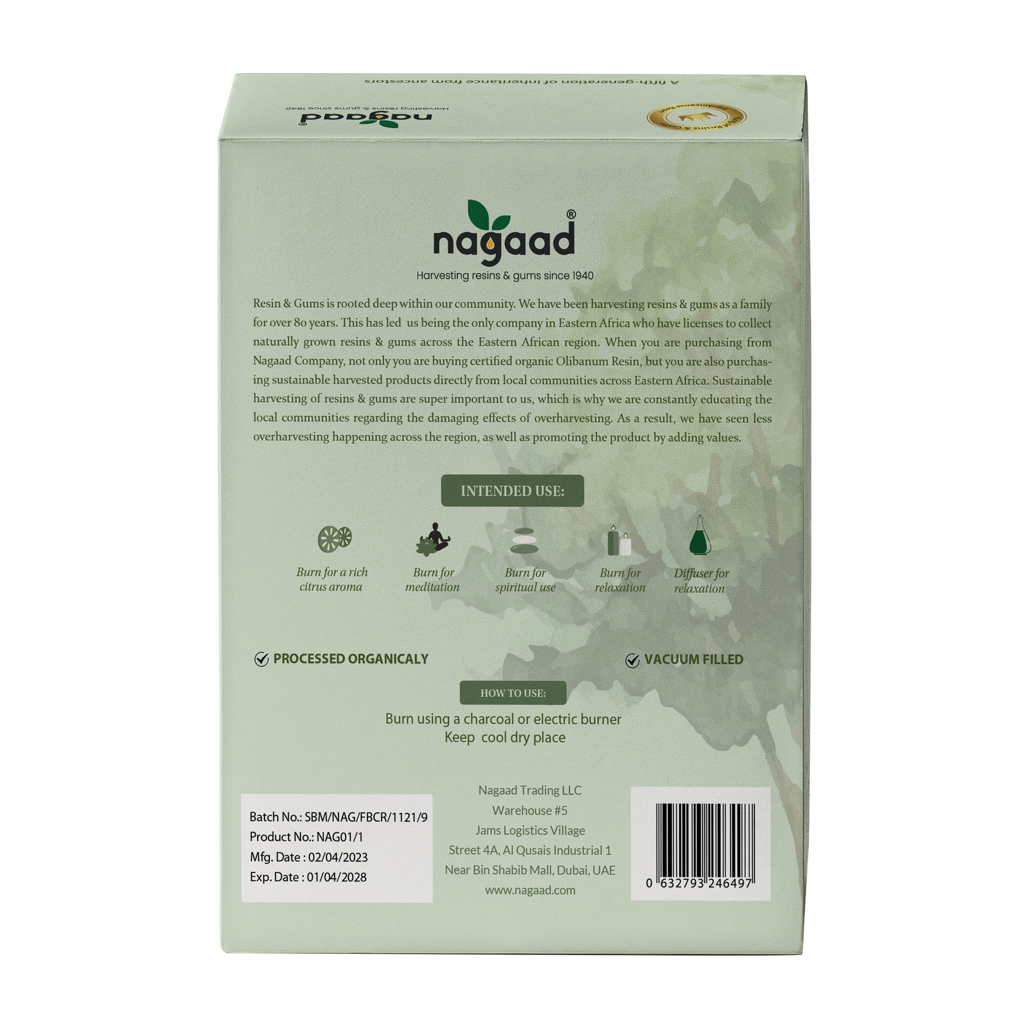 A single palm leaf in a clear glass of water on a white background.